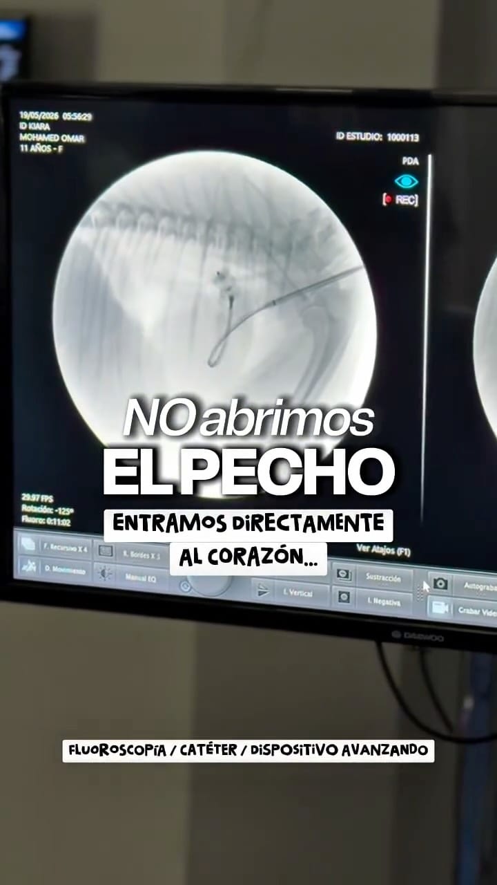 Post 4 by Meds For Pets | Hospital Veterinaro en Monterrey on Instagram (video)