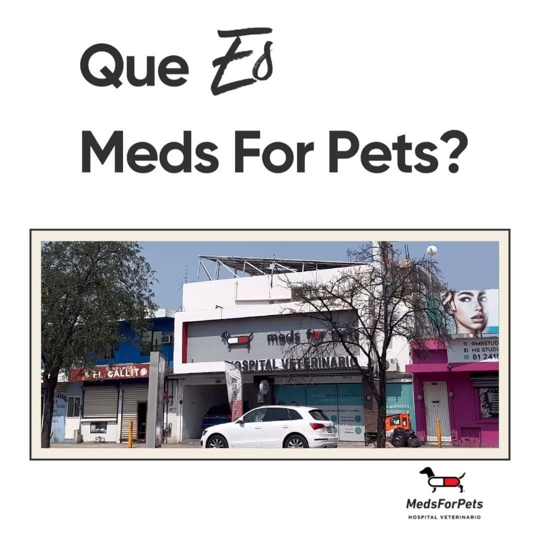 Post 10 by Meds For Pets | Hospital Veterinaro en Monterrey on Instagram (video)
