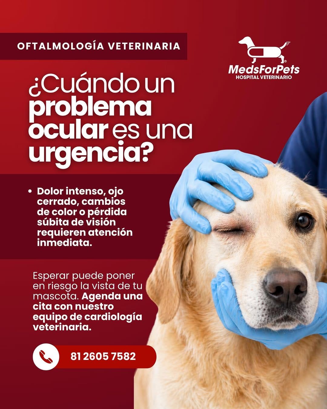 Post 7 by Meds For Pets | Hospital Veterinaro en Monterrey on Instagram (image)