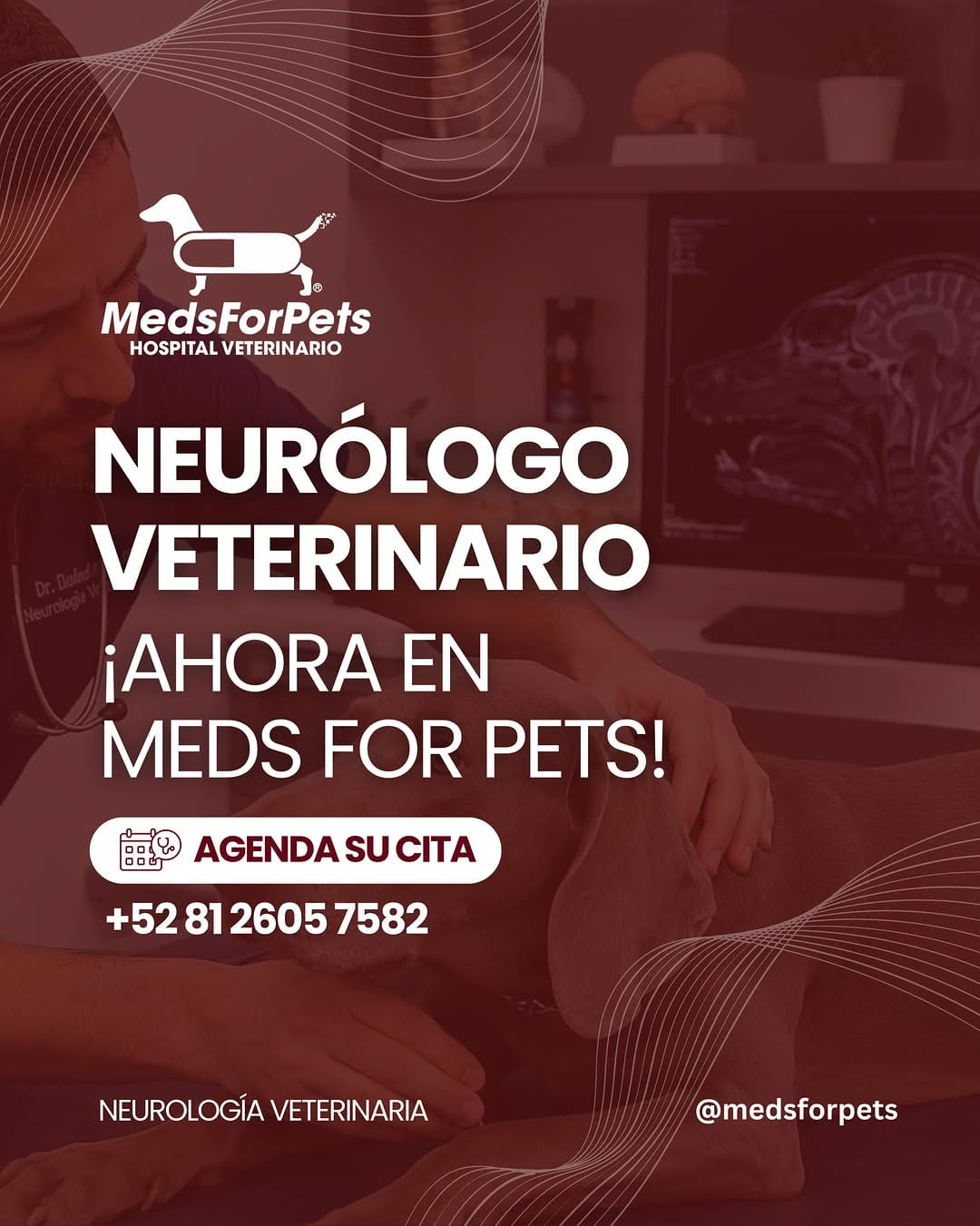 Post 6 by Meds For Pets | Hospital Veterinaro en Monterrey on Instagram (image)