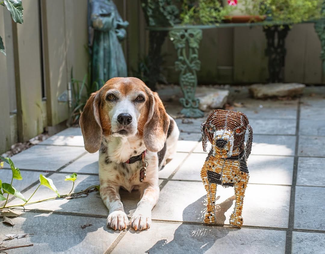 Post 6 by Twix The Beagle And Indy on Instagram (carousel)