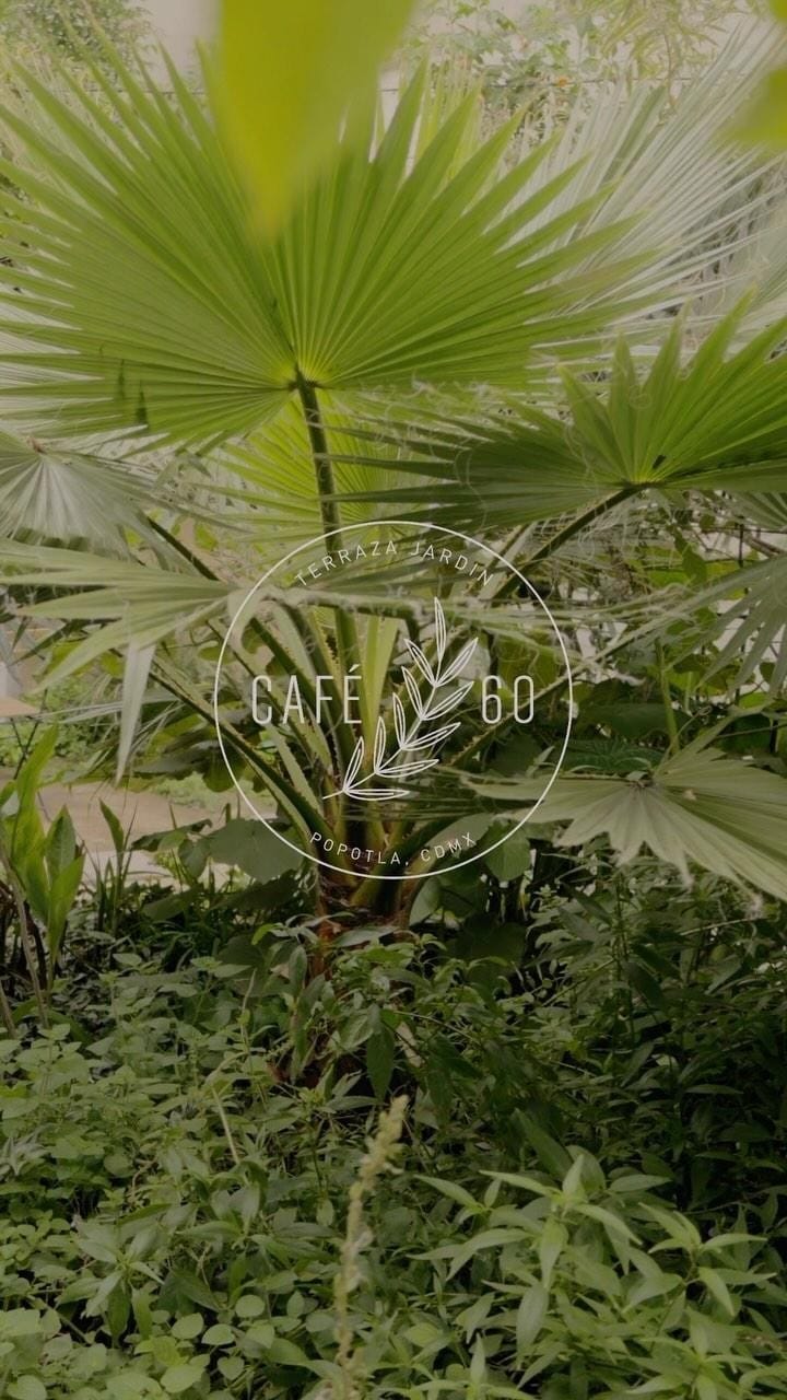 Post 10 by Café 60 on Instagram (video)