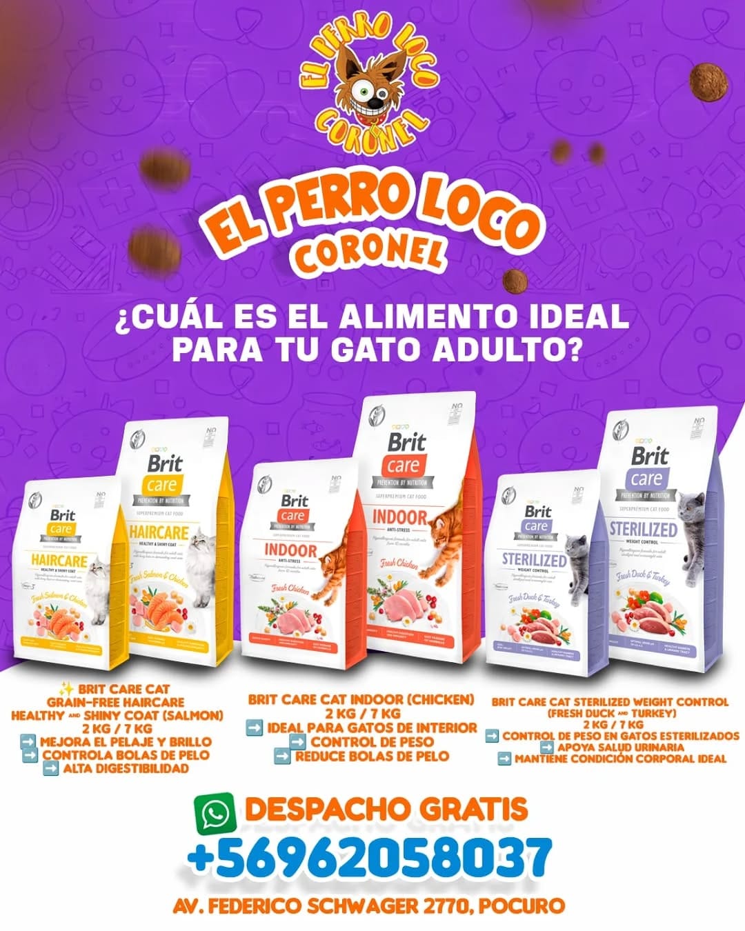 Post 10 by EL PERRO LOCO CORONEL on Instagram (image)
