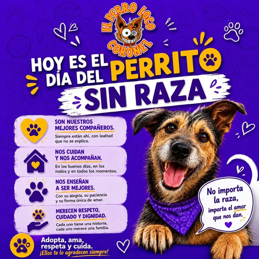 Post 2 by EL PERRO LOCO CORONEL on Instagram (image)