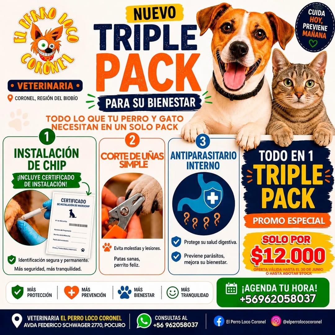 Post 1 by EL PERRO LOCO CORONEL on Instagram (image)