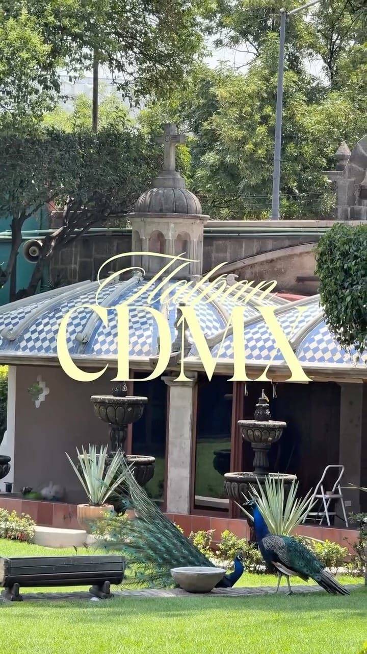 Post 4 by Manon | Traveler | CDMX | Mexico on Instagram (video)