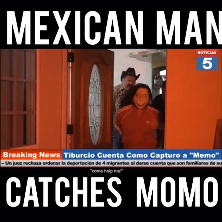 Post 8 by Tiburcio on Instagram (video)