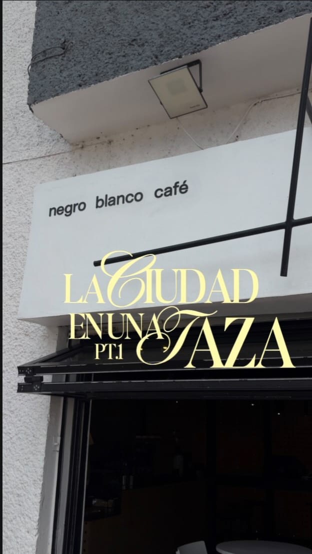 Post 1 by negro blanco café on Instagram (video)