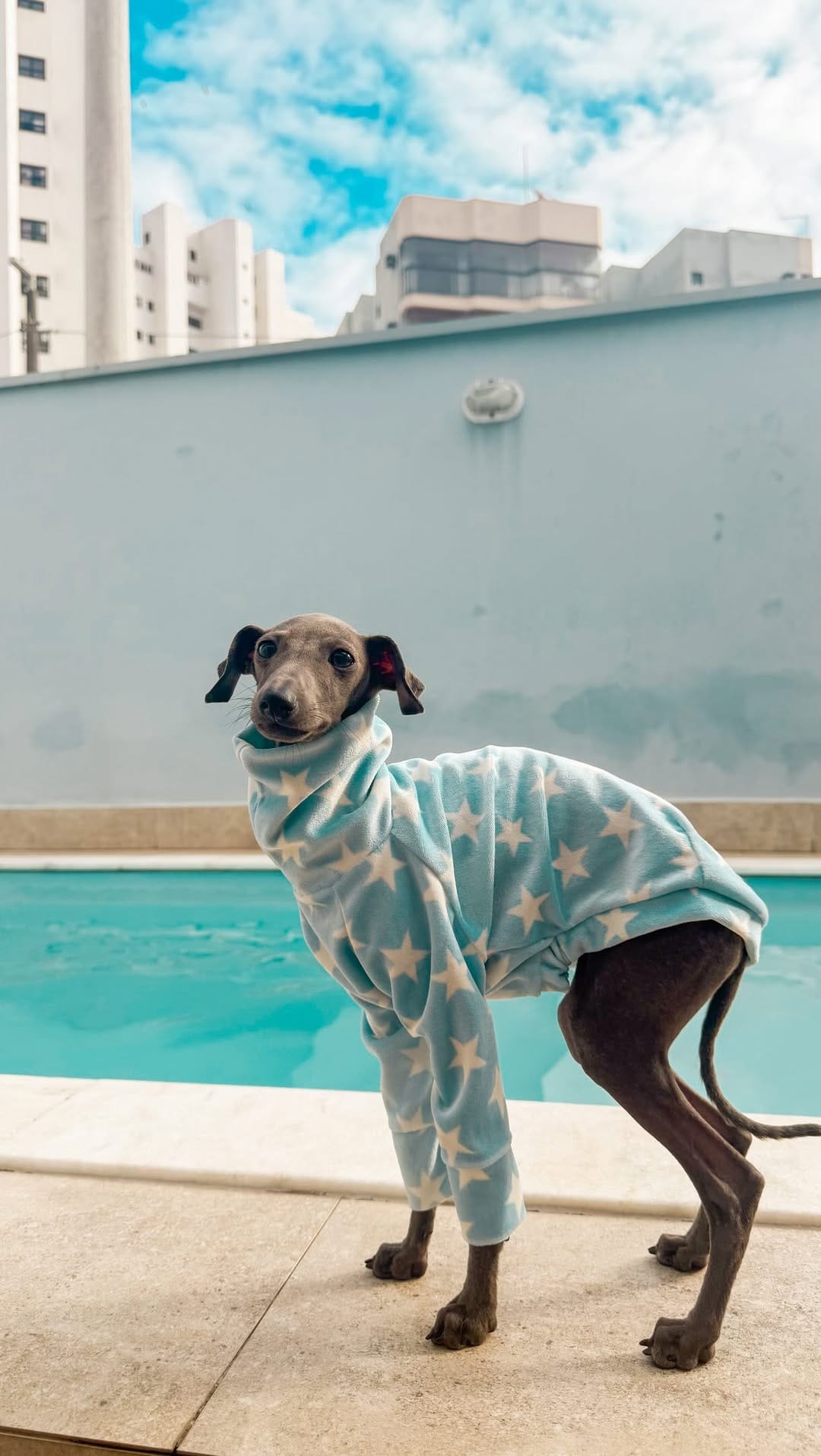 Post 6 by Fendi, Zoe & Sansa - por Beatriz on Instagram (video)