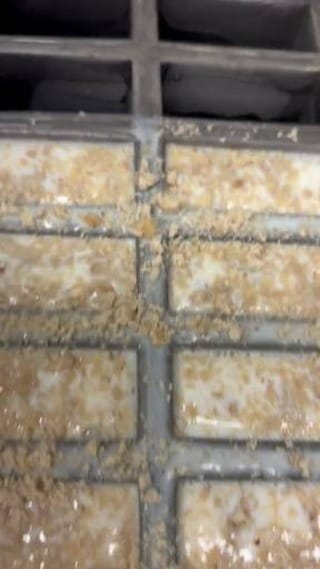 Post 7 by @lamichoacanamonarcamn on Instagram (video)