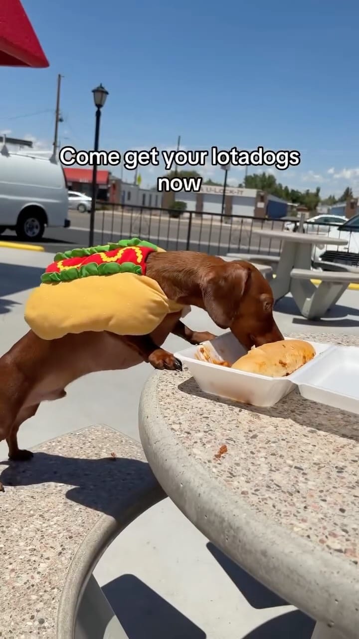 Post 7 by Blake’s LOTABURGER on Instagram (video)