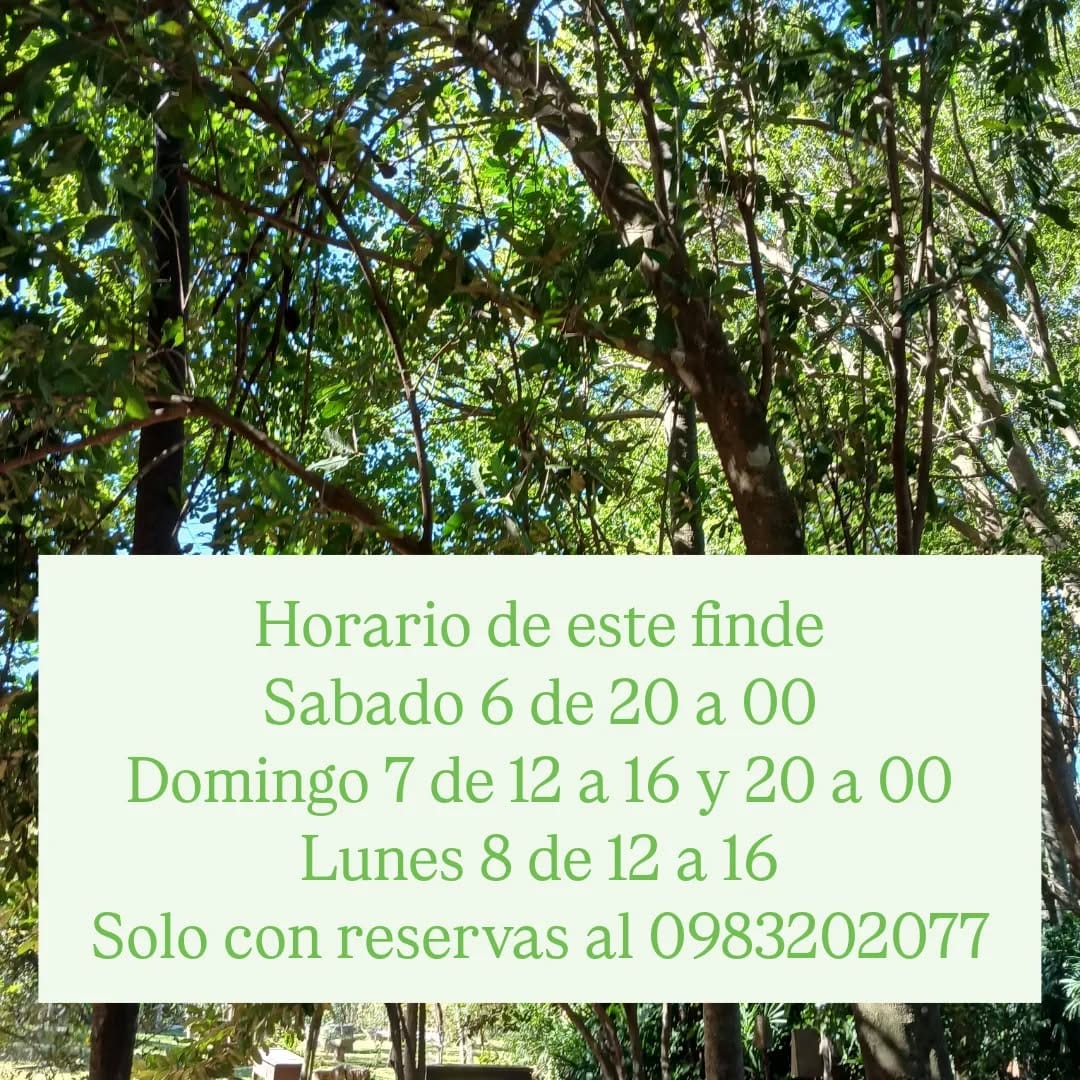 Post 10 by Taberna Española Suc. Altos on Instagram (image)