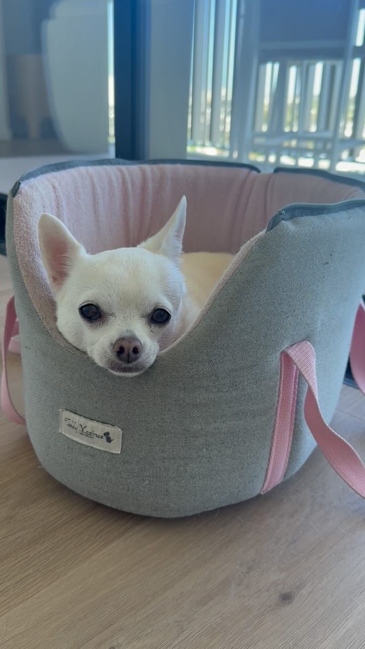 Post 1 by Sunny The Chi on Instagram (video)