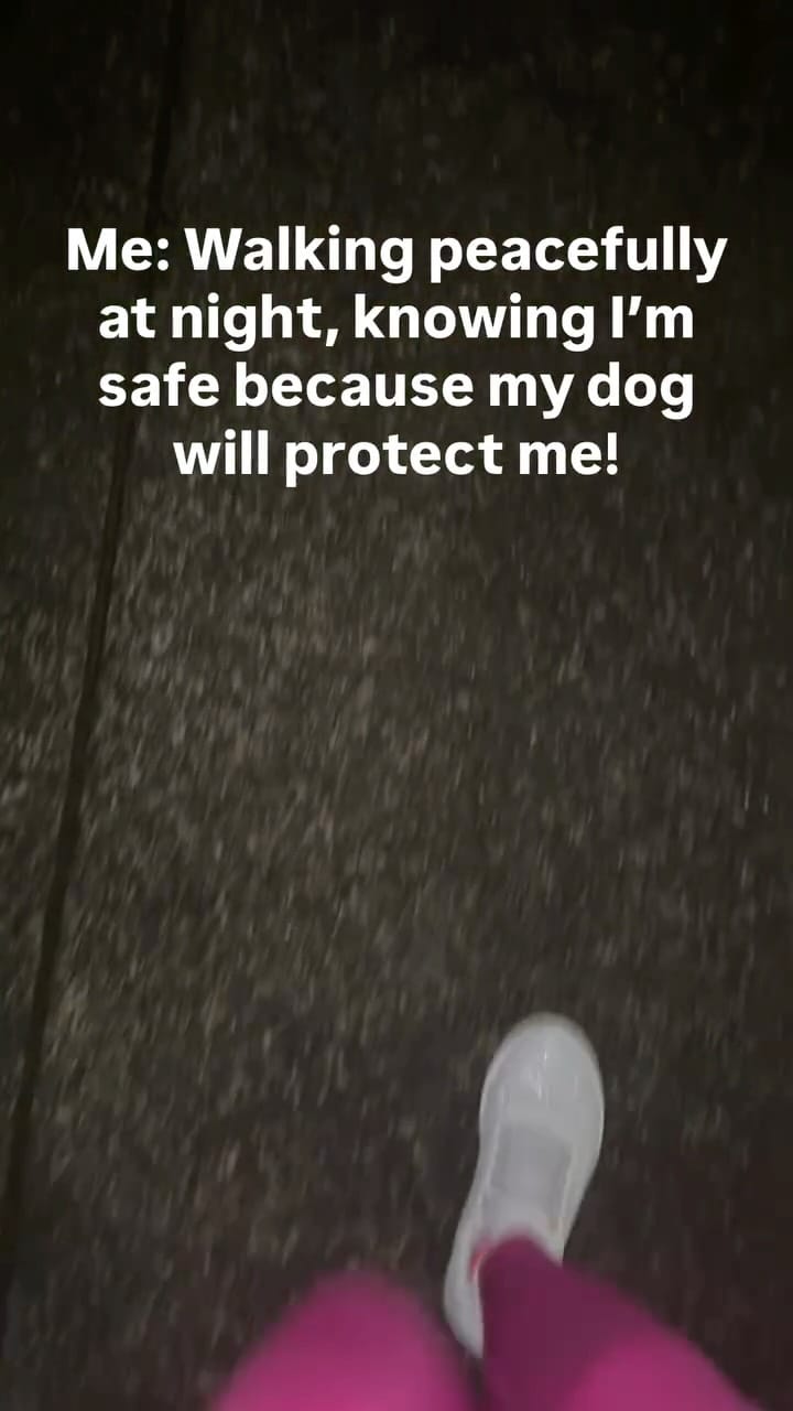 Post 6 by Sunny The Chi on Instagram (video)