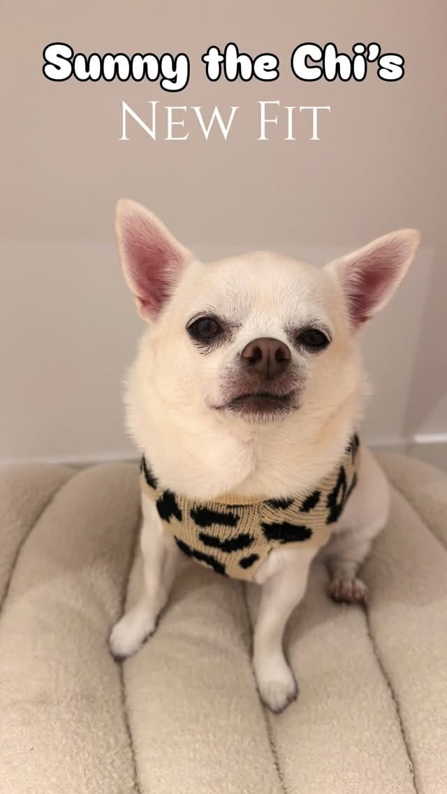 Post 9 by Sunny The Chi on Instagram (video)