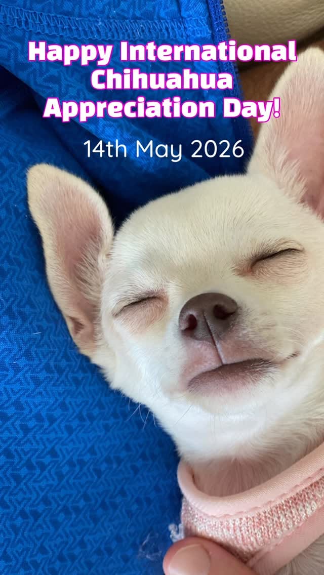 Post 8 by Sunny The Chi on Instagram (video)