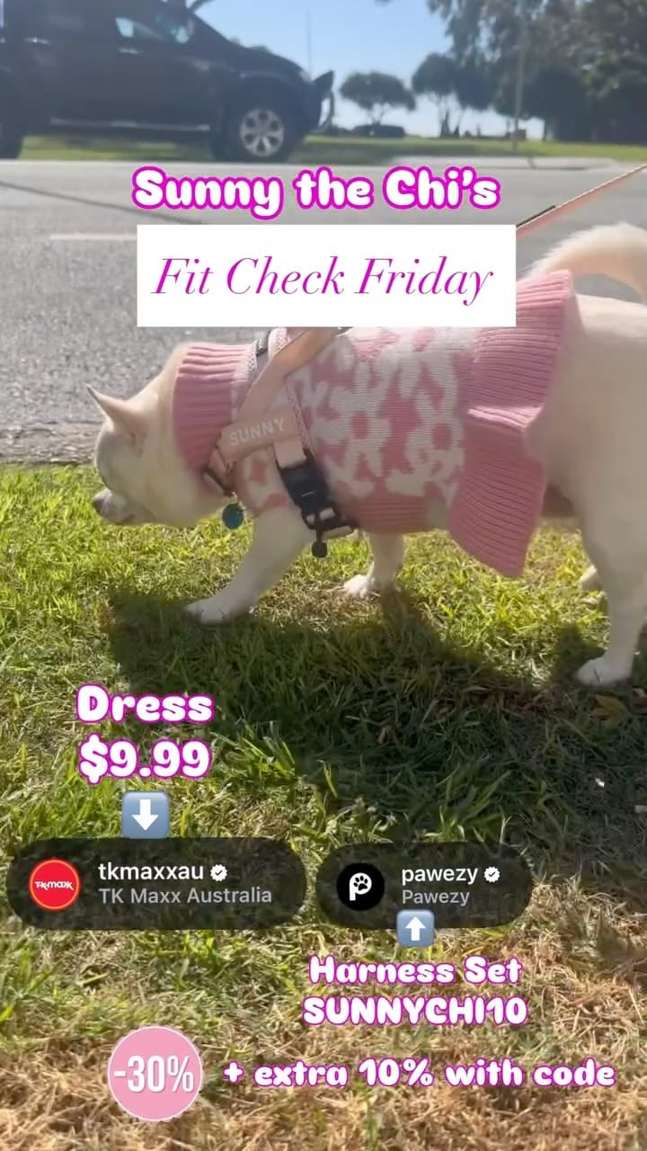 Post 3 by Sunny The Chi on Instagram (video)