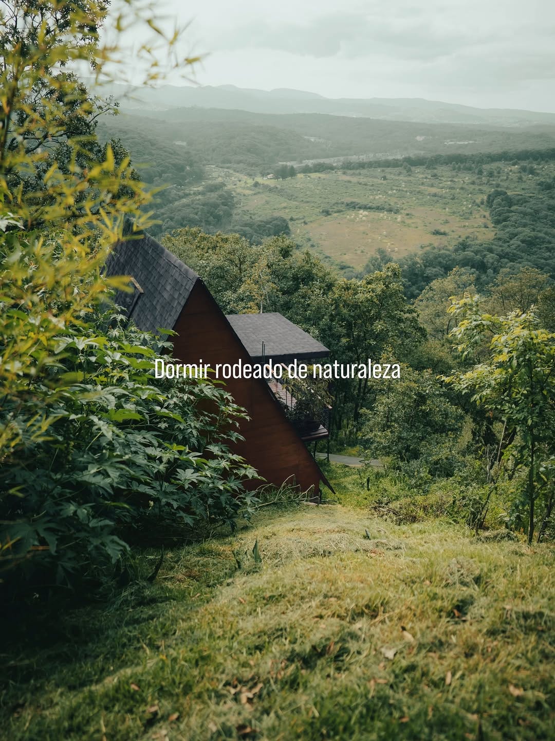 Post 2 by Woodland Cabins on Instagram (image)