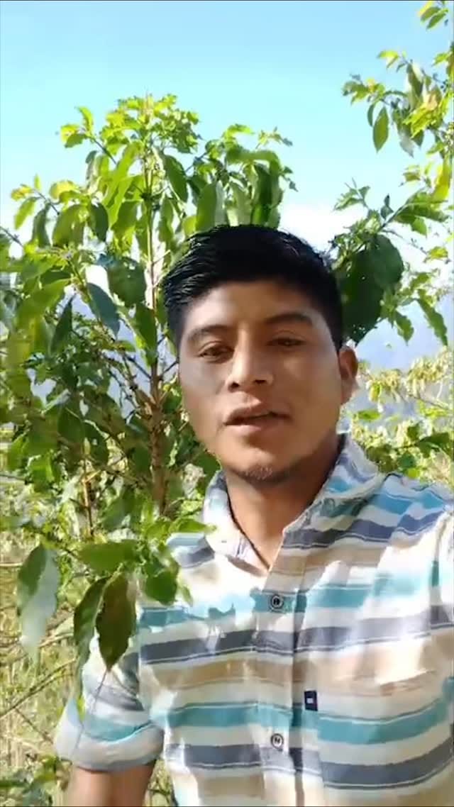 Post 1 by Café Nonno on Instagram (video)
