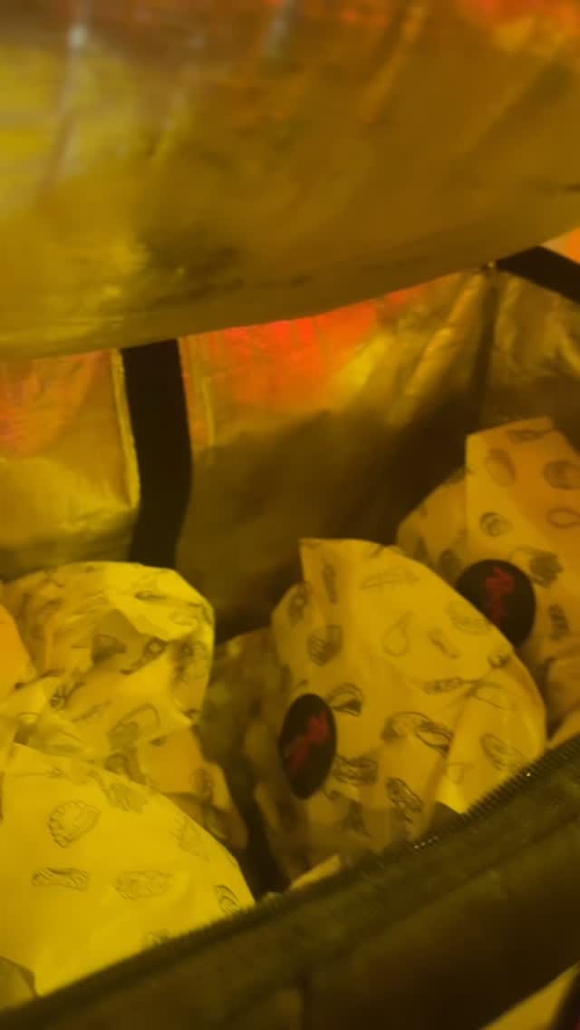 Post 9 by Rochers on Instagram (video)