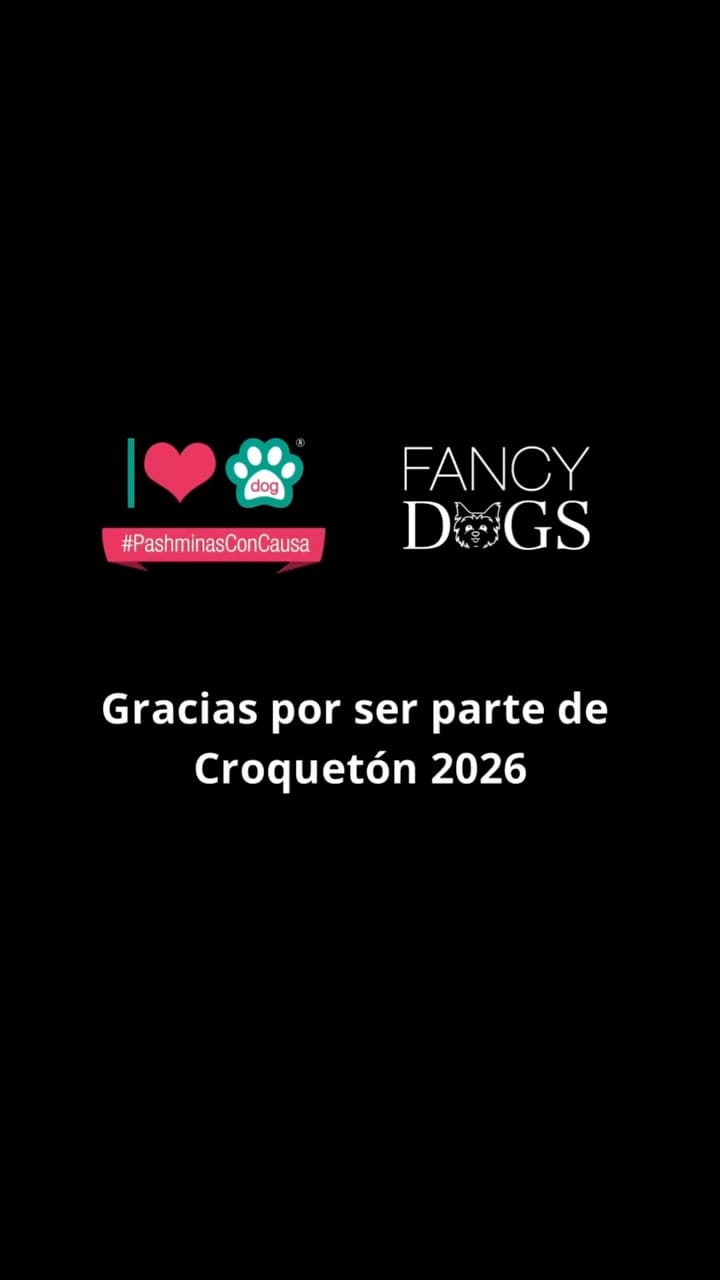 Post 2 by Accesorios Para Perro Y Gato on Instagram (video)
