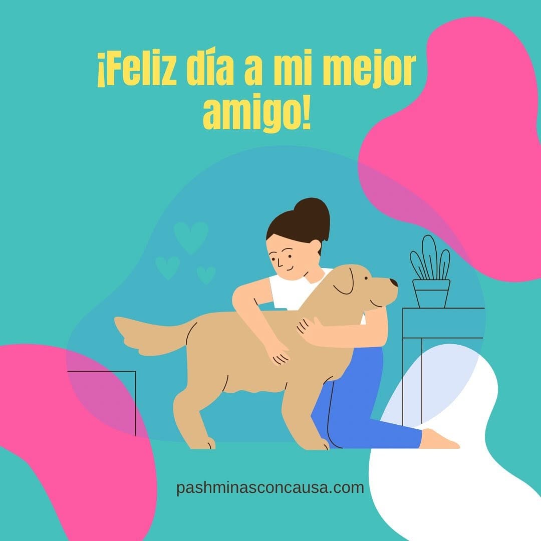 Post 8 by Accesorios Para Perro Y Gato on Instagram (image)
