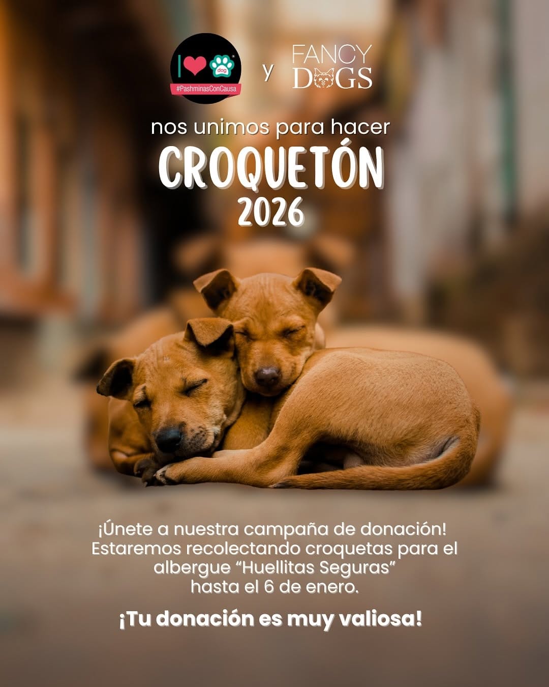 Post 3 by Accesorios Para Perro Y Gato on Instagram (carousel)