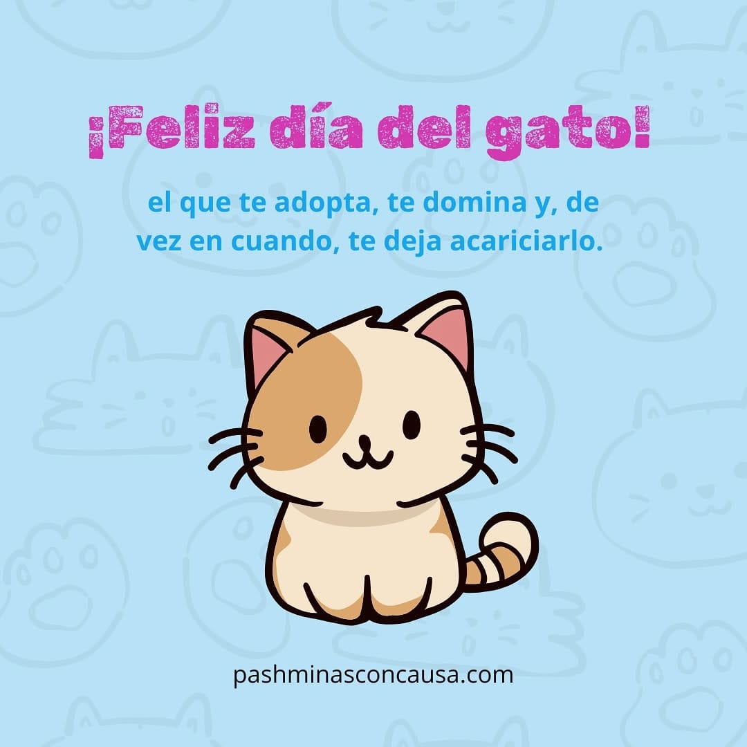 Post 5 by Accesorios Para Perro Y Gato on Instagram (image)