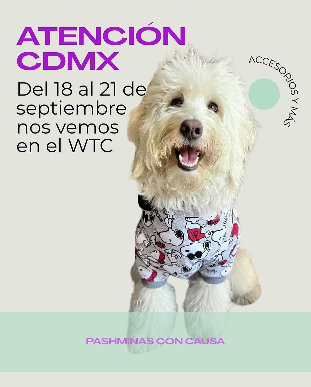 Post 4 by Accesorios Para Perro Y Gato on Instagram (image)