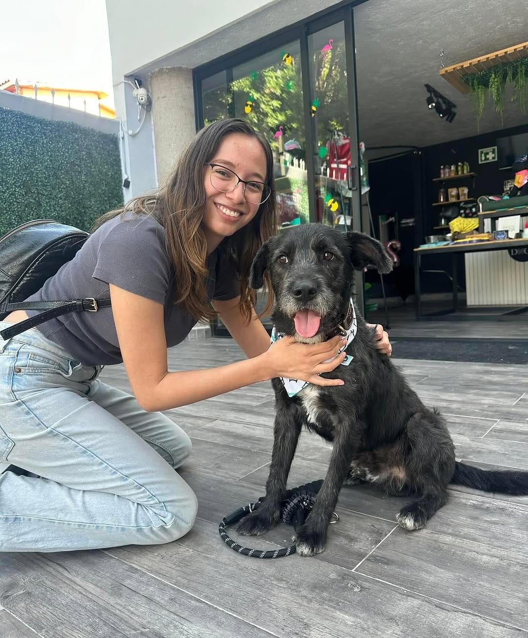 Post 9 by Accesorios Para Perro Y Gato on Instagram (image)