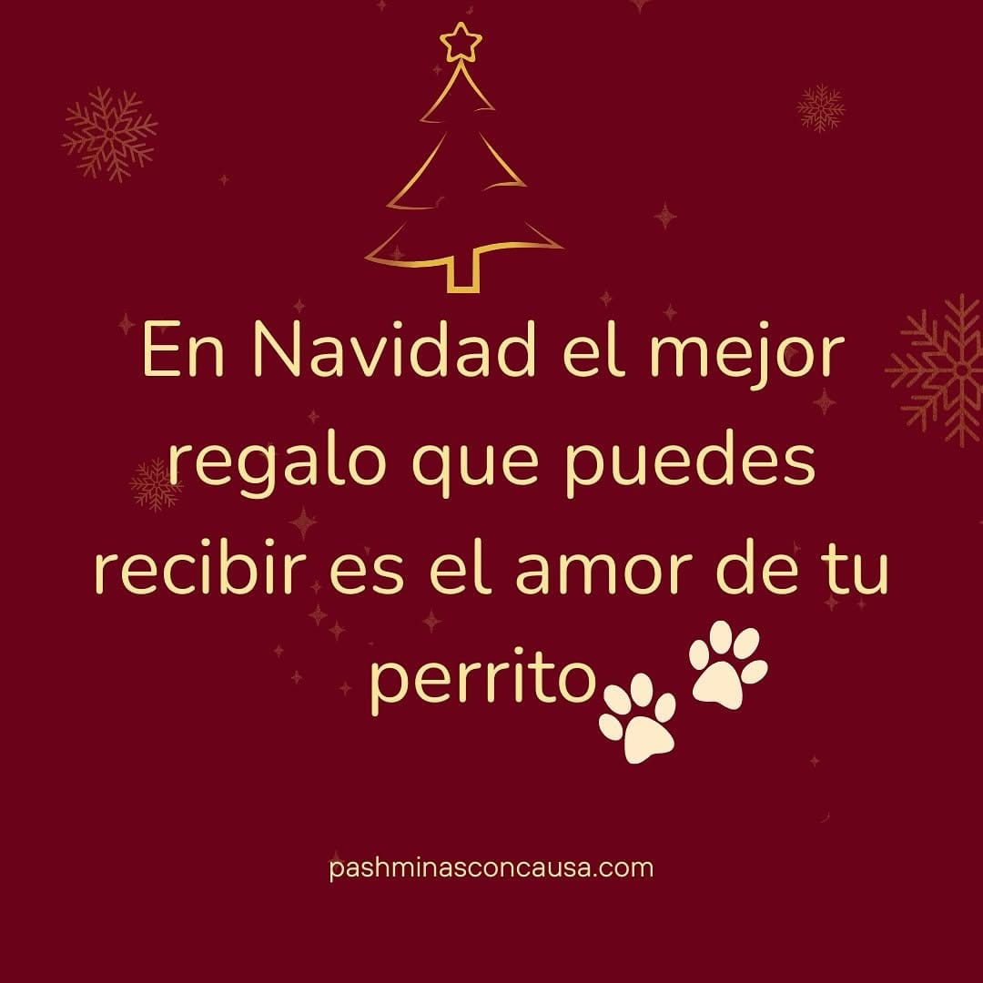 Post 6 by Accesorios Para Perro Y Gato on Instagram (image)