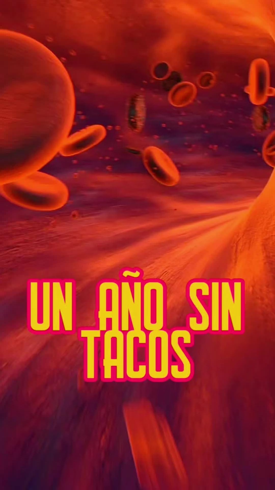 Post 8 by La Mera Birria Monterrey on Instagram (video)