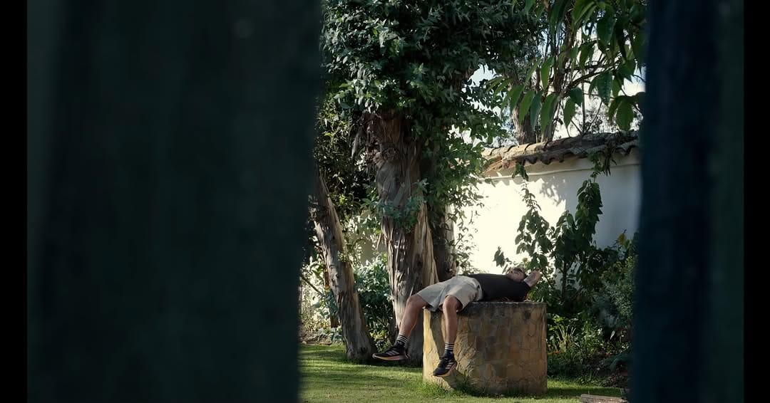 Post 7 by Alex León | 𝗖𝗿𝗲𝗮𝗱𝗼𝗿 𝗩𝗶𝘀𝘂𝗮𝗹 on Instagram (image)