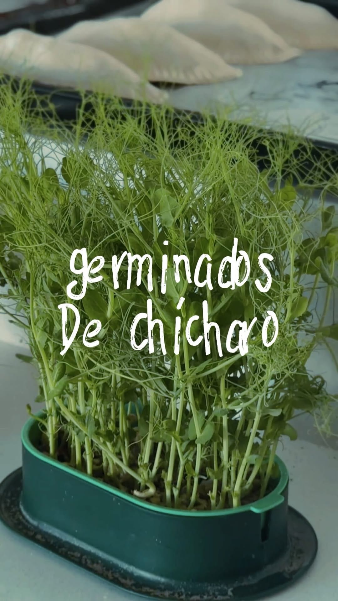 Post 3 by chefshaka | Cocinero on Instagram (video)