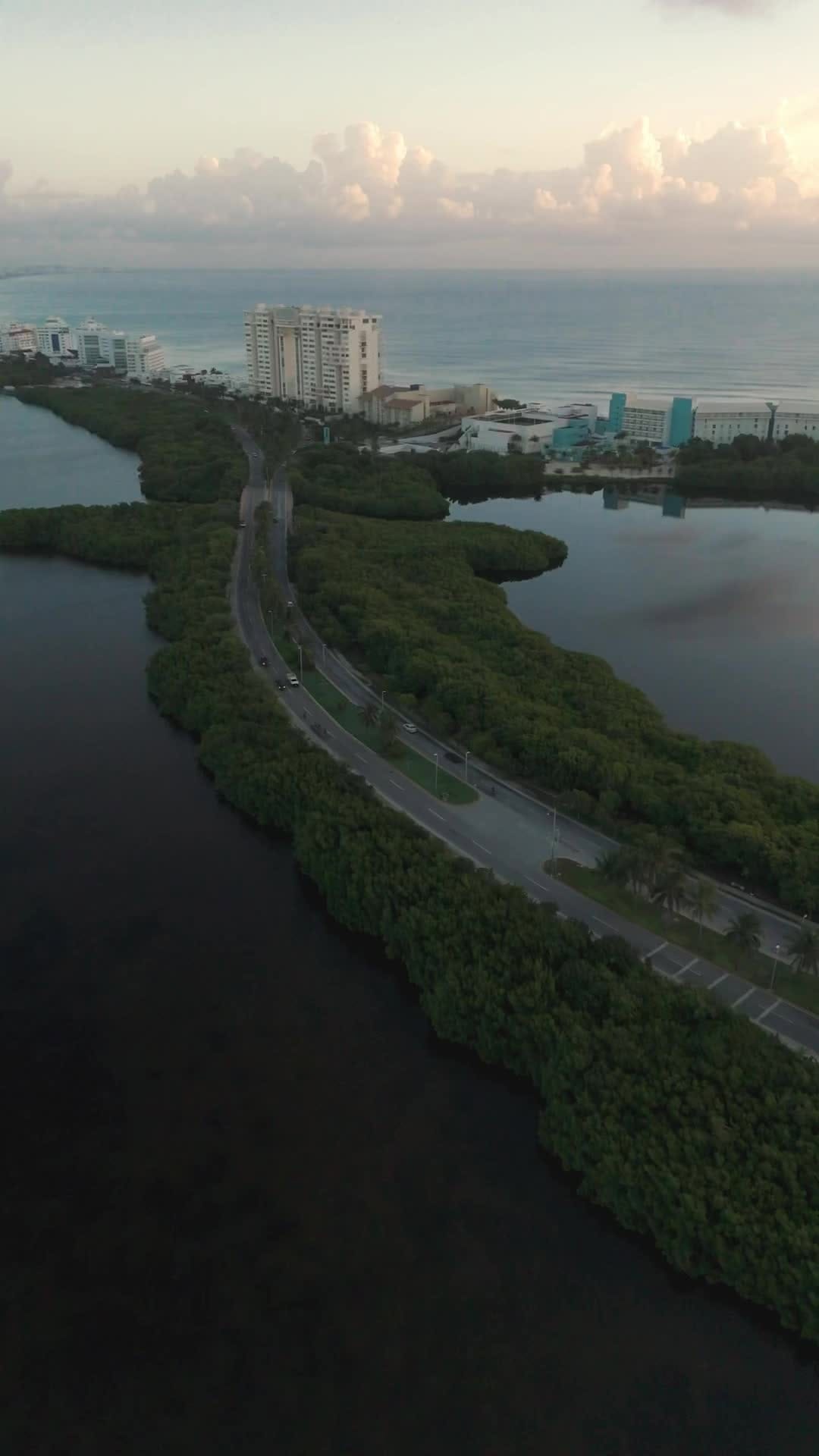 Post 10 by Crab House Cancun on Instagram (video)