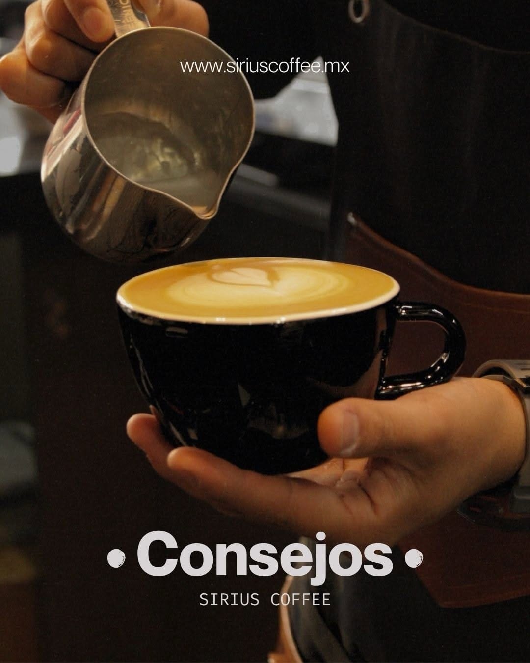 Post 5 by Sirius Coffee on Instagram (carousel)