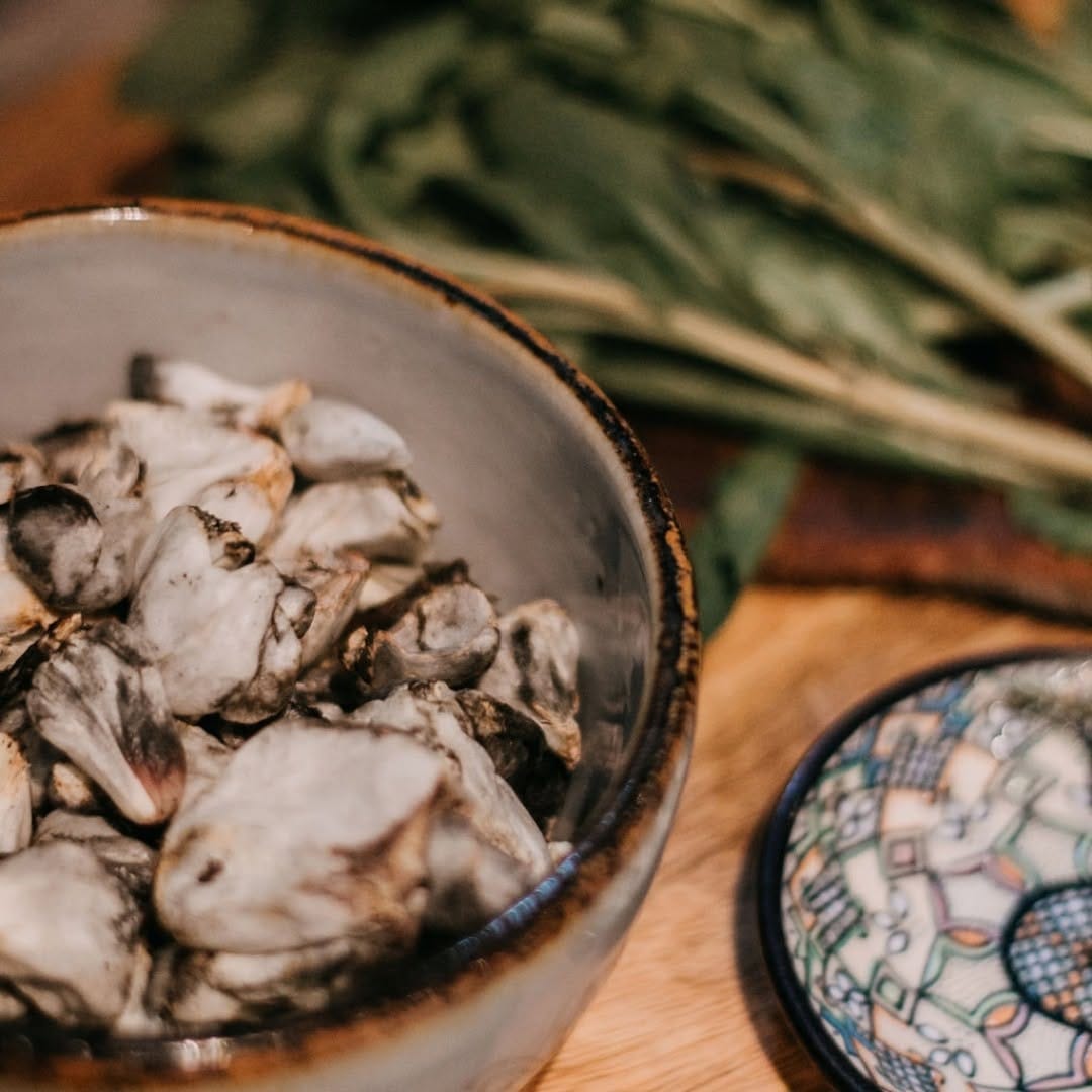 Post 7 by Casa Jacaranda Cooking Mexico on Instagram (video)