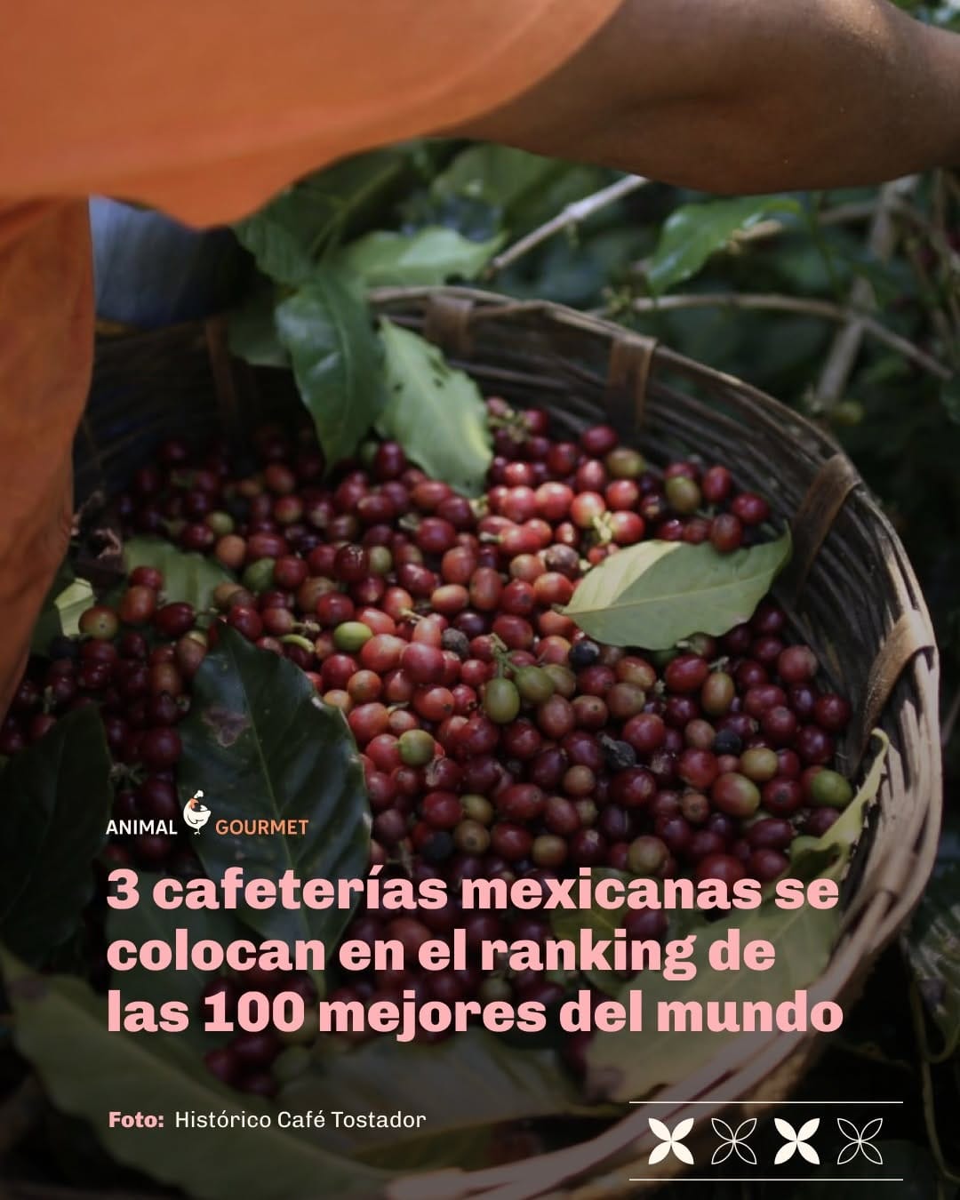 Post 9 by El Terrible Juan Café on Instagram (carousel)