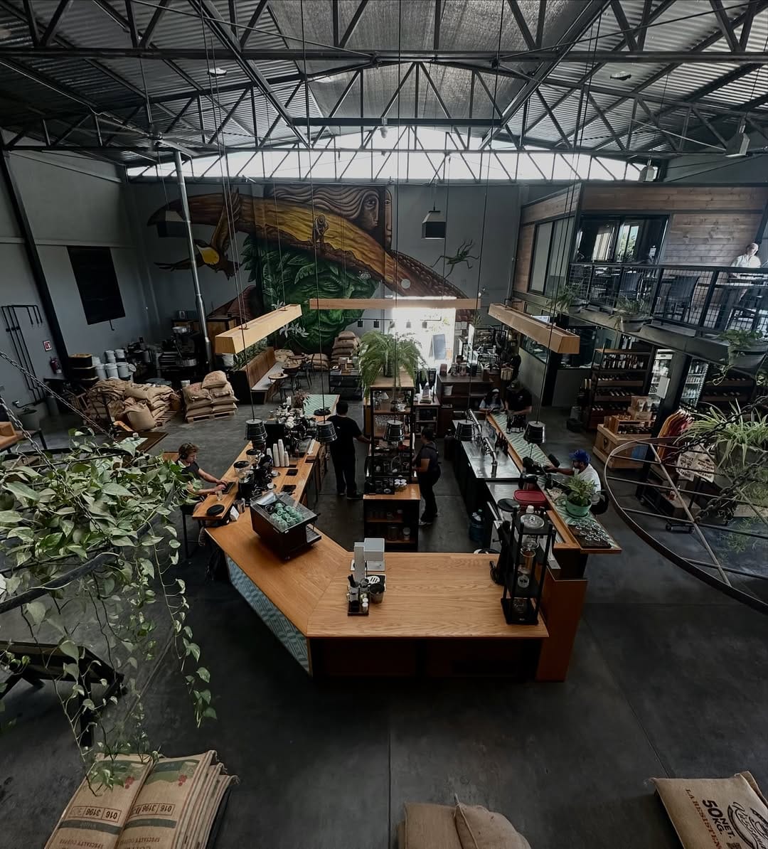 Post 7 by DoceCuarenta Coffee Roasters on Instagram (image)