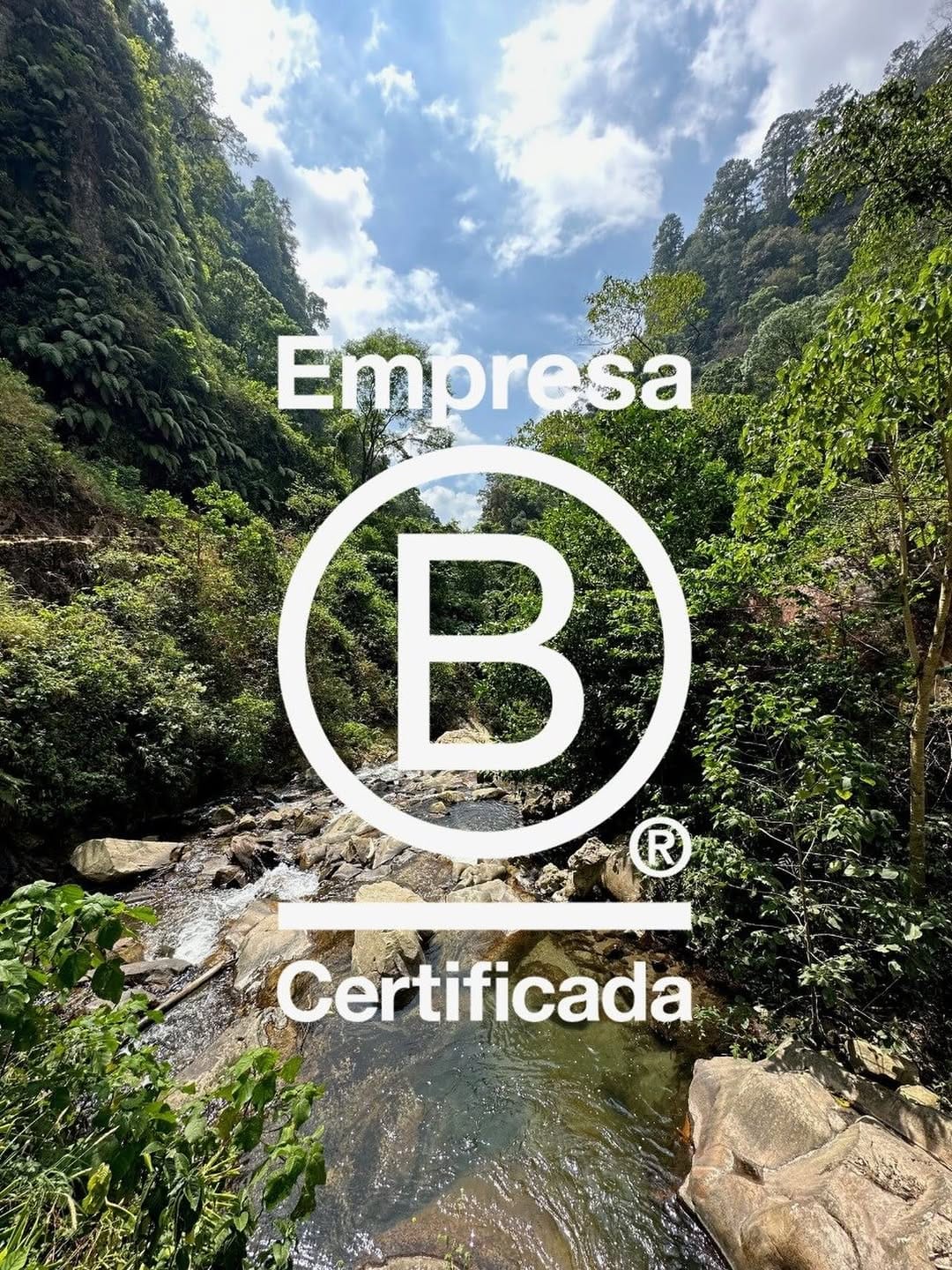 Post 4 by DoceCuarenta Coffee Roasters on Instagram (image)