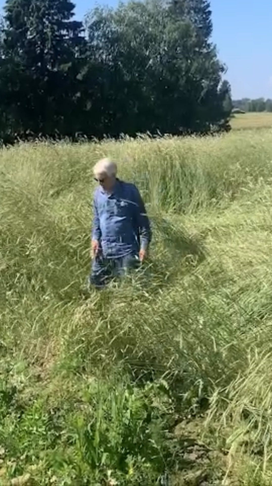 Post 8 by Hayden Flour Mills on Instagram (video)