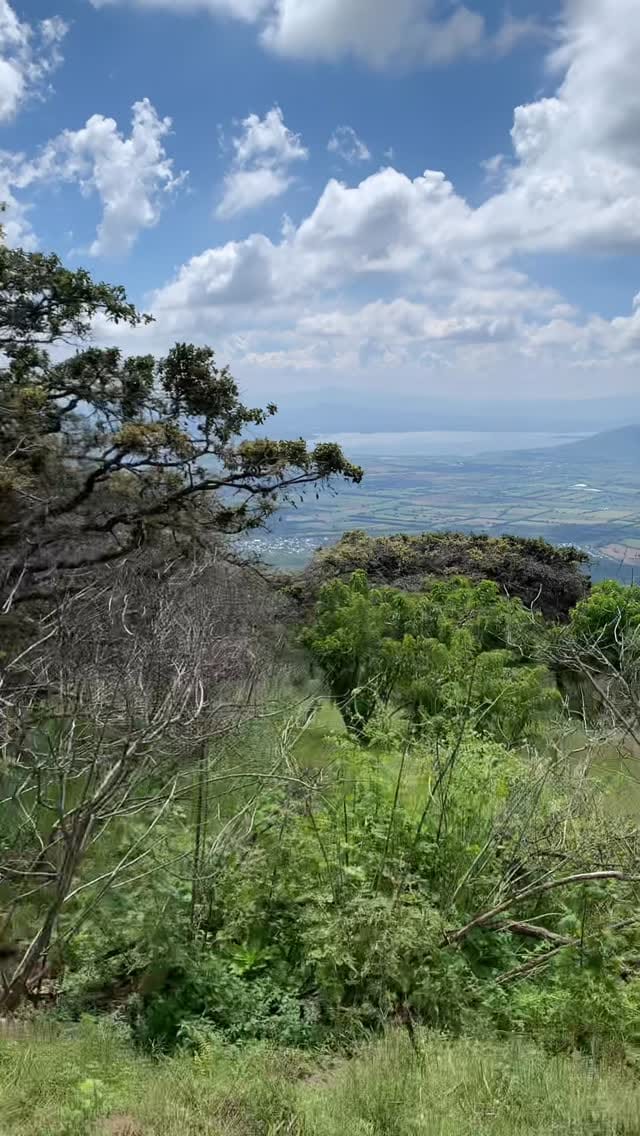 Post 3 by Edith Medina on Instagram (video)