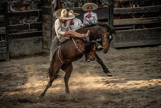 Post 7 by De Charrería Oficial®️ on Instagram (image)