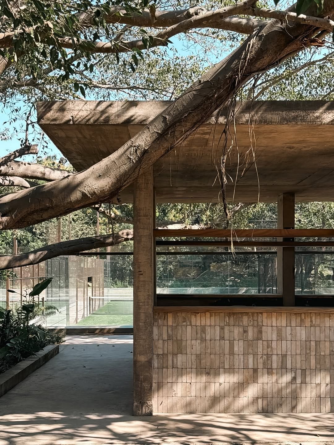 Post 7 by René Pérez Gómez on Instagram (image)