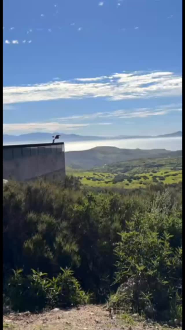Post 8 by CRIA on Instagram (video)