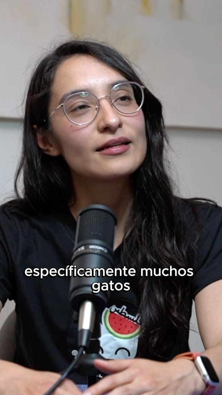 Post 10 by Catacumberitos 😼 on Instagram (video)