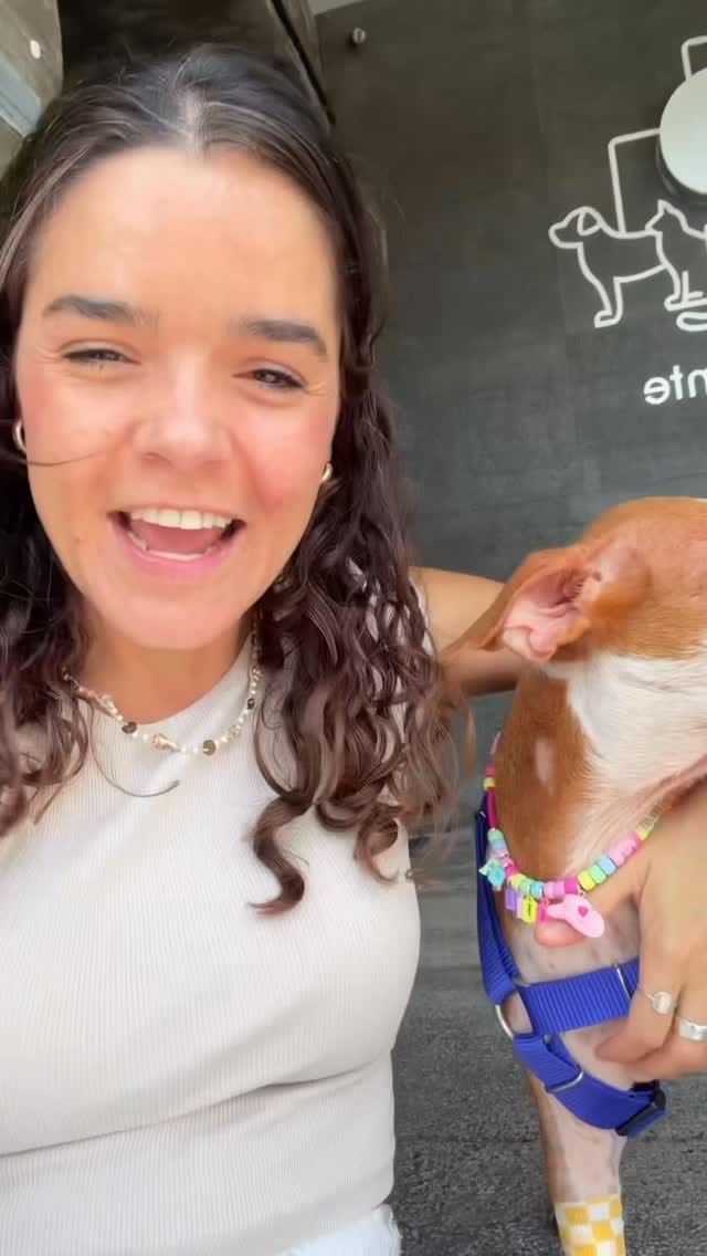 Post 1 by Esperanza Animal | Caro Zuleta | Rescate y esterilizaciones on Instagram (video)