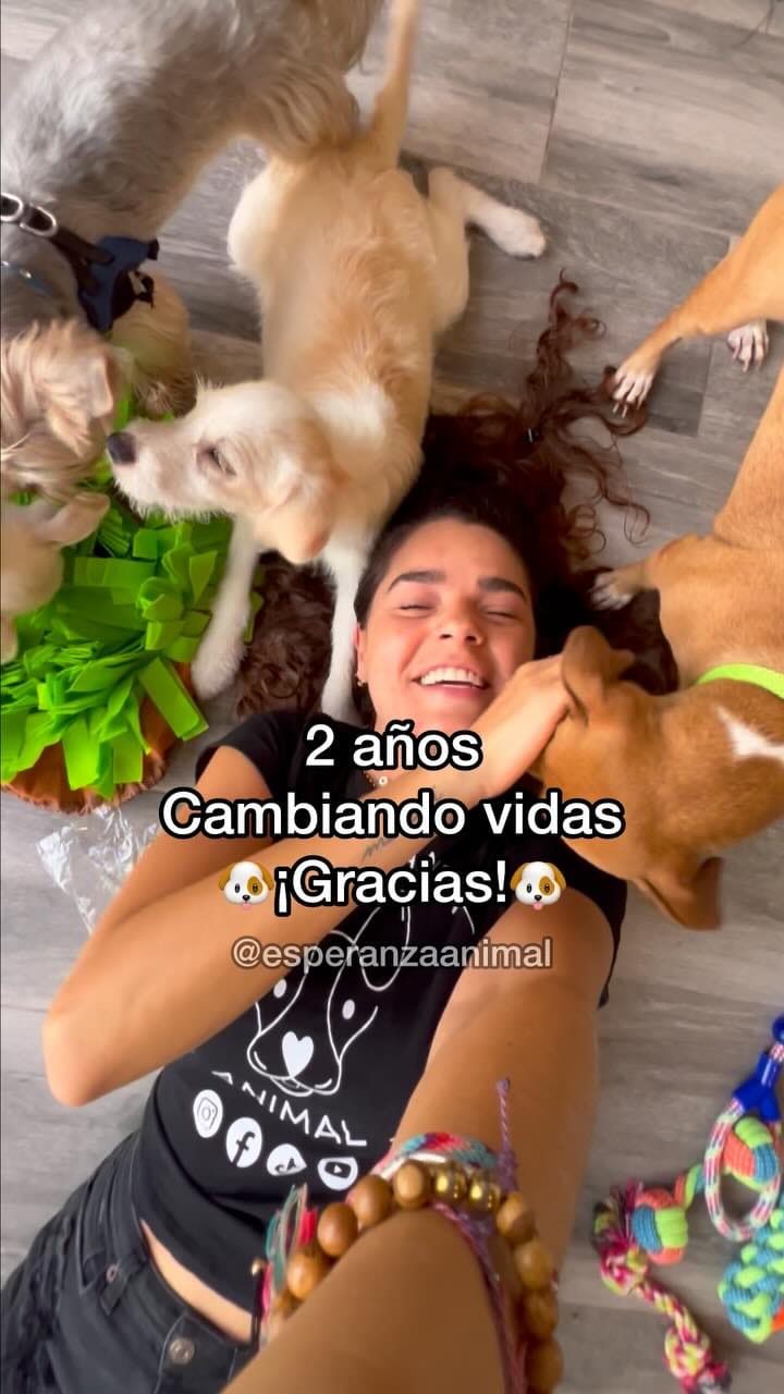 Post 10 by Esperanza Animal | Caro Zuleta | Rescate y esterilizaciones on Instagram (video)