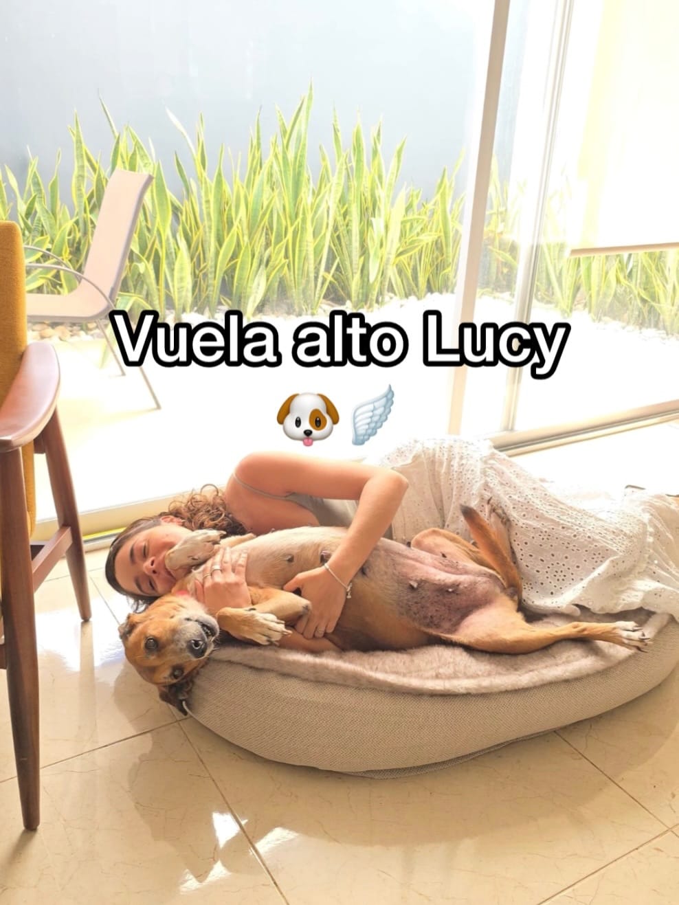 Post 3 by Esperanza Animal | Caro Zuleta | Rescate y esterilizaciones on Instagram (carousel)