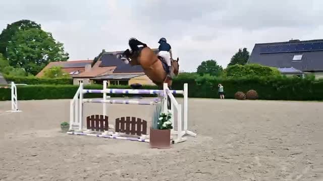 Post 6 by Leonie Bredemeier on Instagram (video)